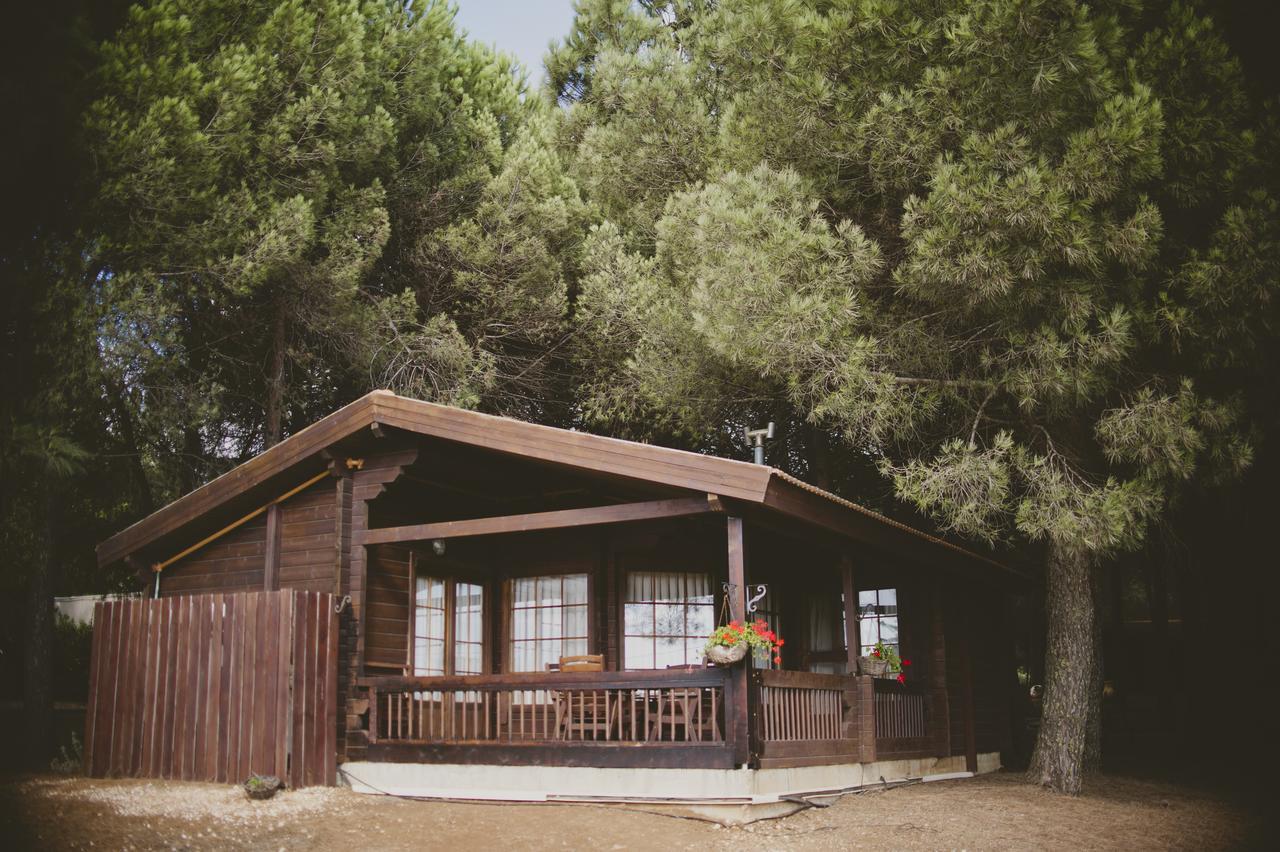 Kibbutz Ortal Tourism Hotell Eksteriør bilde